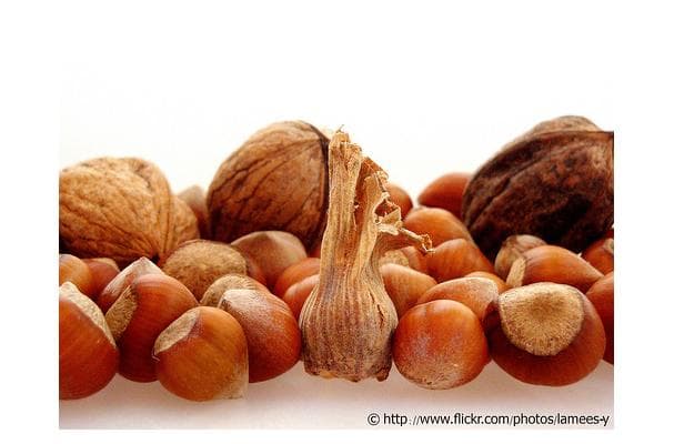 Food image for Hazelnut