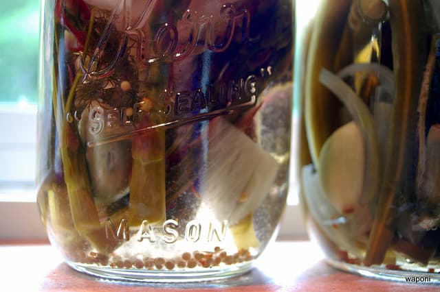 Pickled Asparagus Spears