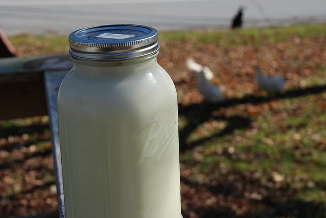 The Battle to Save Raw Milk is ON!