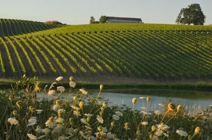 Montinore Estate, located in Oregon’s Washington County