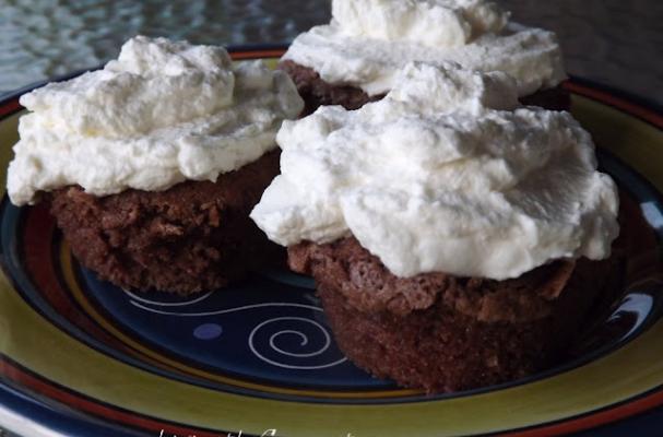 European Chocolate Sponge Cake European Chocolate Sponge Cake