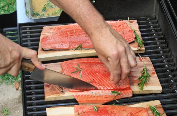 copper river salmon