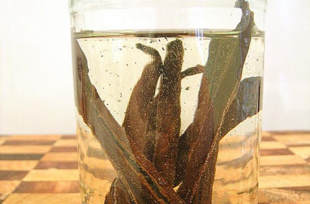 vanilla extract