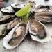 Oysters Cause Cholera Outbreak