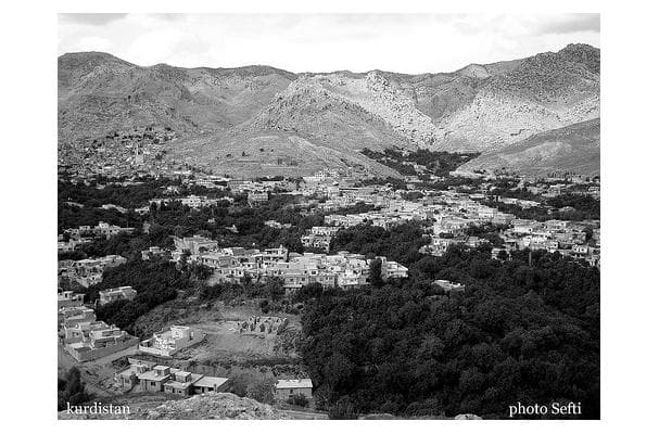 Food image for Early Wonderful Pomegranate