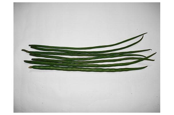 Food image for Sojni Ki Phalli