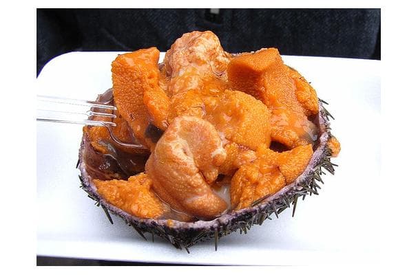 Food image for Sea Urchin
