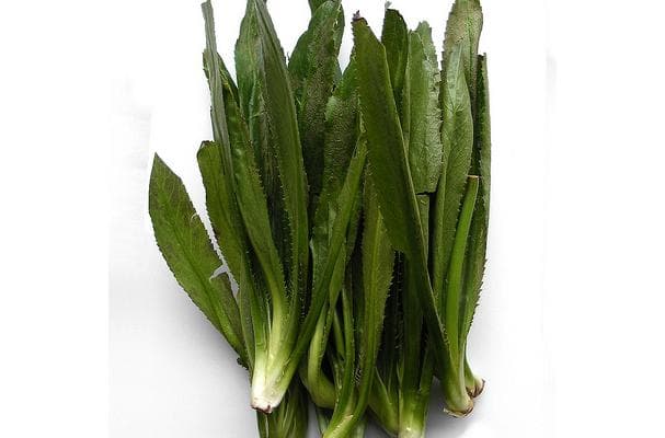 Food image for Culantro