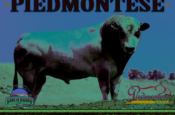 Piedmontese Beef