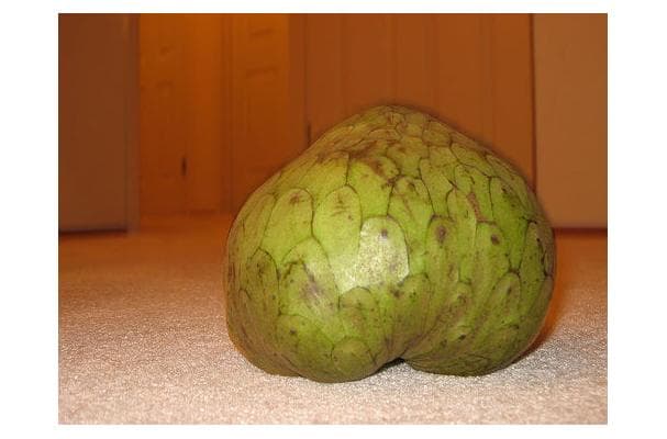 Food image for Cherimoya