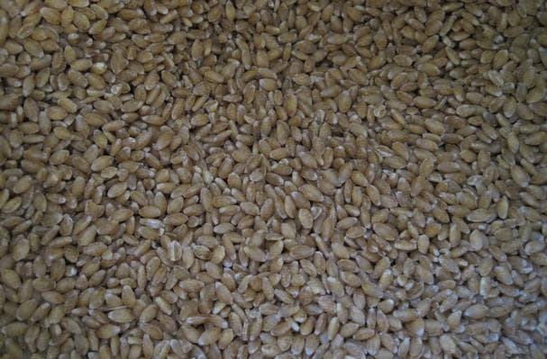 Food image for Einkorn Wheat