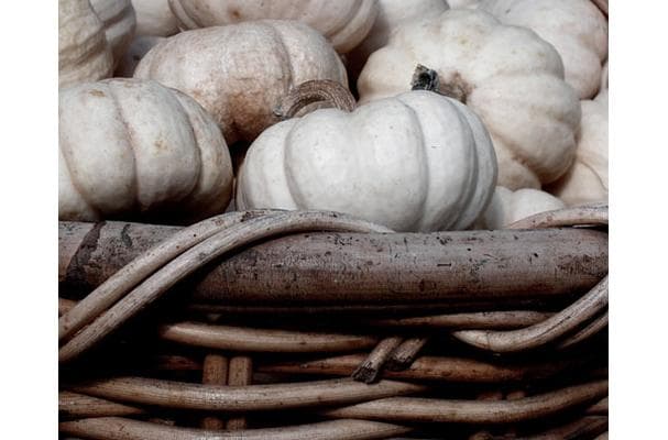 Round Tong Qwa Winter Melon