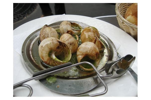 Escargot