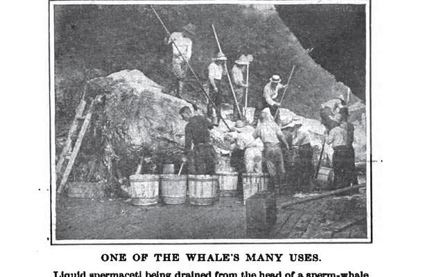 Food image for Pork Sirloin Roast