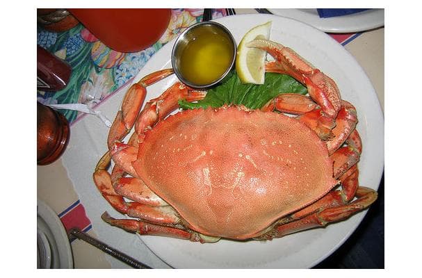 Food image for Dungeness Crab