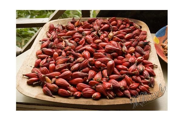 Food image for Grains Of Paradise