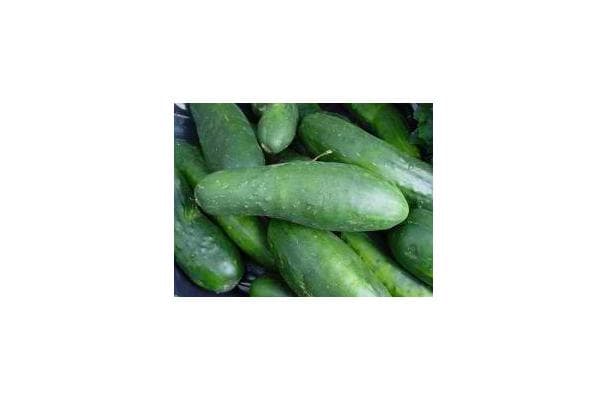 Food image for Cucumber