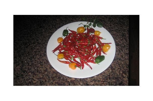 Food image for Anaheim Chili