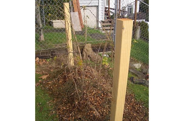 Tulameen Raspberries