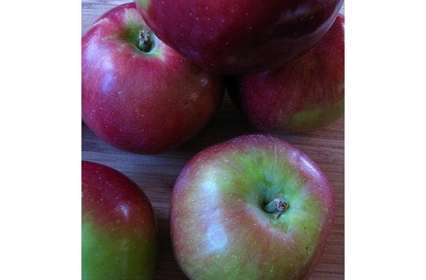 Food image for Macoun