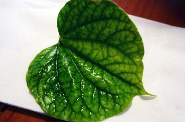 Betel Leaf