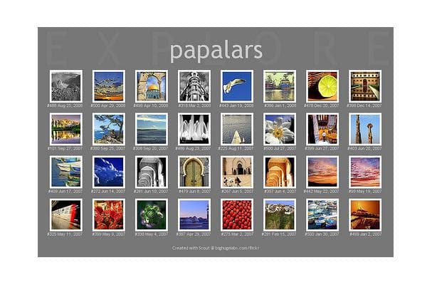 Seascape Strawberries