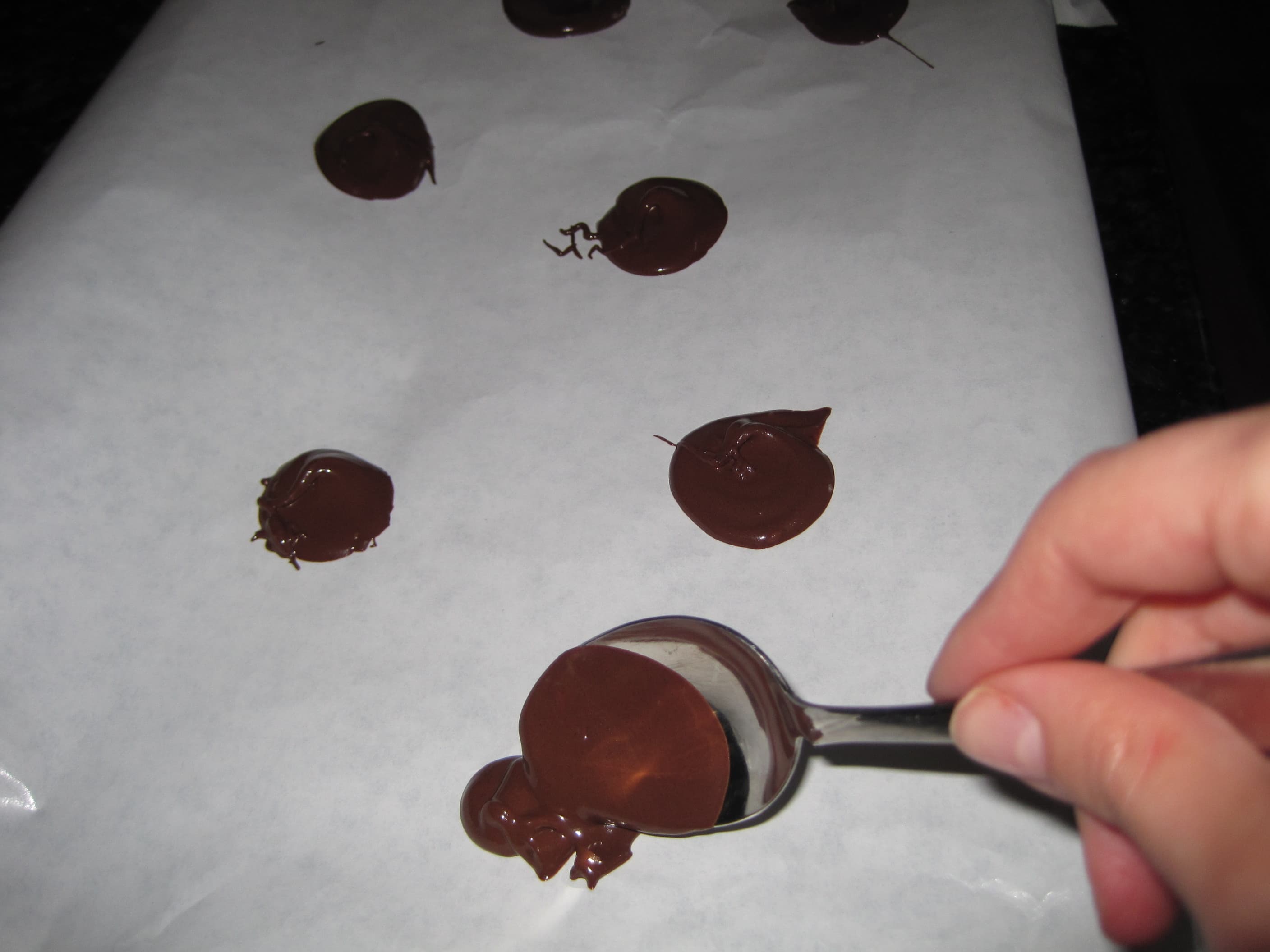 Xocai Dark Chocolate Dots