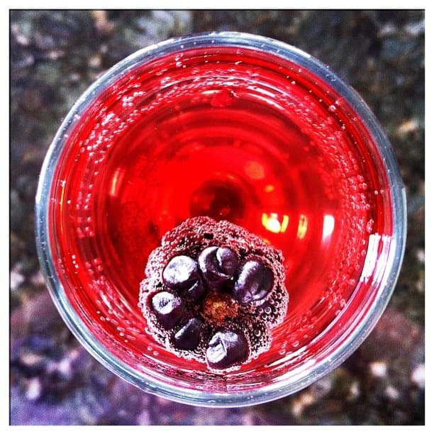Pomegranate Champagne Fizz
