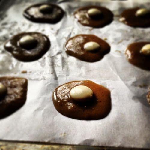 White chocolate and nice spiced cookies