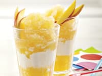 Tropical Citrus Granita