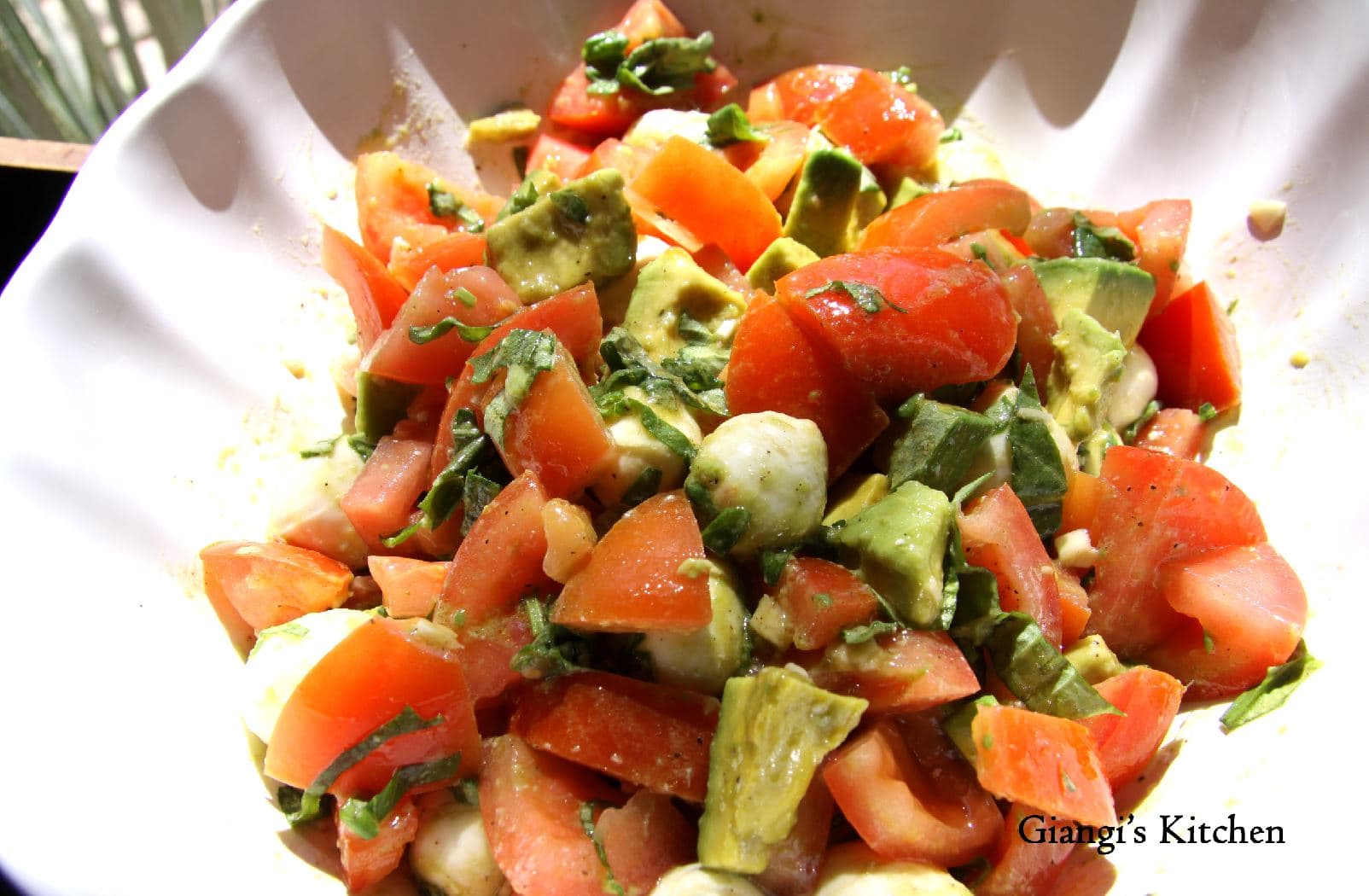 Avocado, Mozzarella and Tomaotes with Vinaigrette