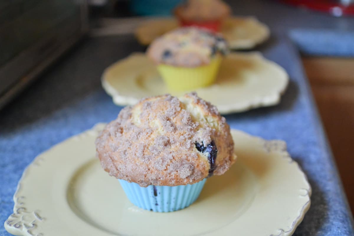 Buttermilk Streusel Blueberry Muffins