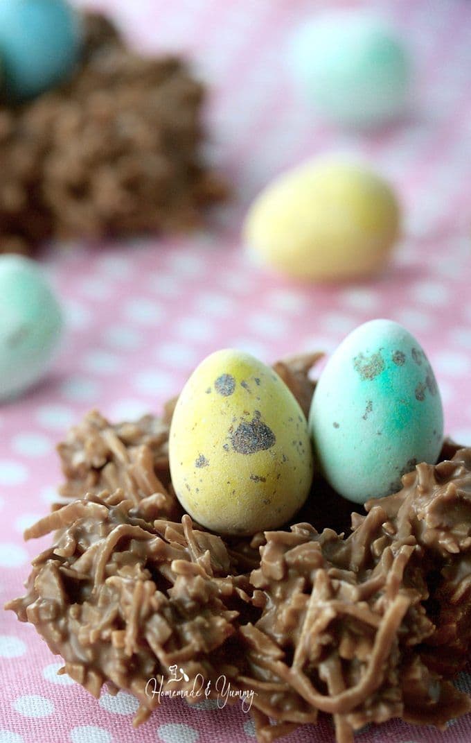 Easy No Bake Chocolate Coconut Nests