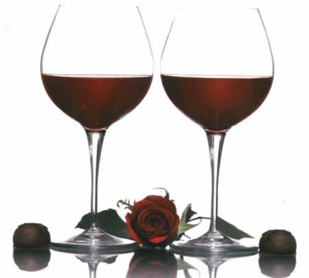  Sweet Chocolate Bee with Xocai Healthy Chocolate