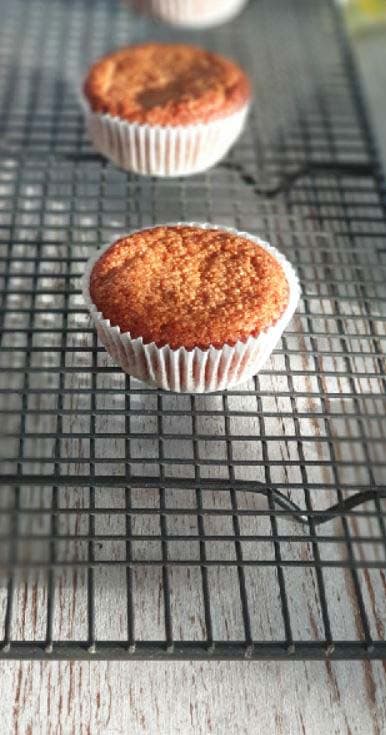 Golden Paleo Muffins – Gluten-Free/Paleo/Vegetarian