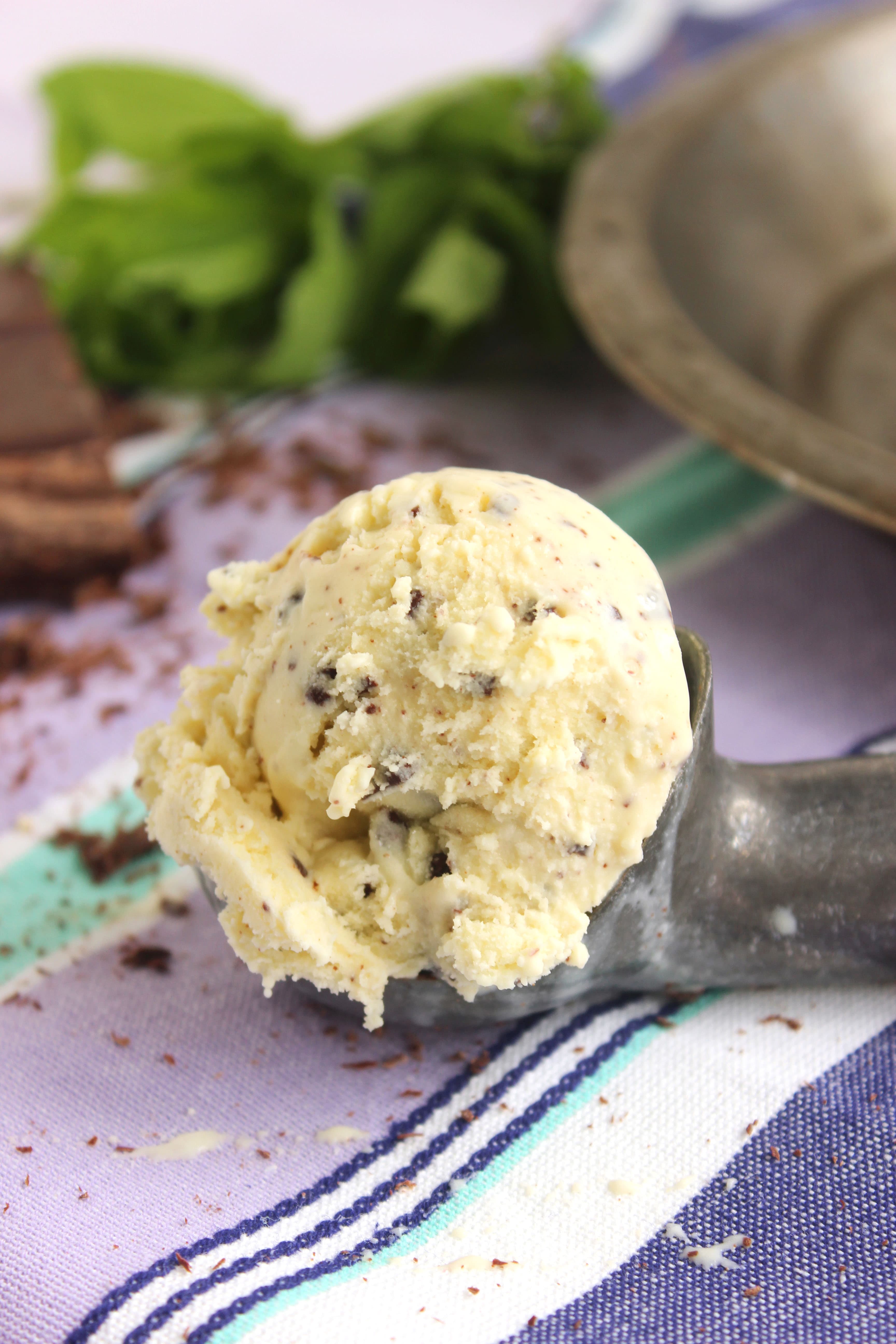 Mint Chocolate Chip Ice Cream