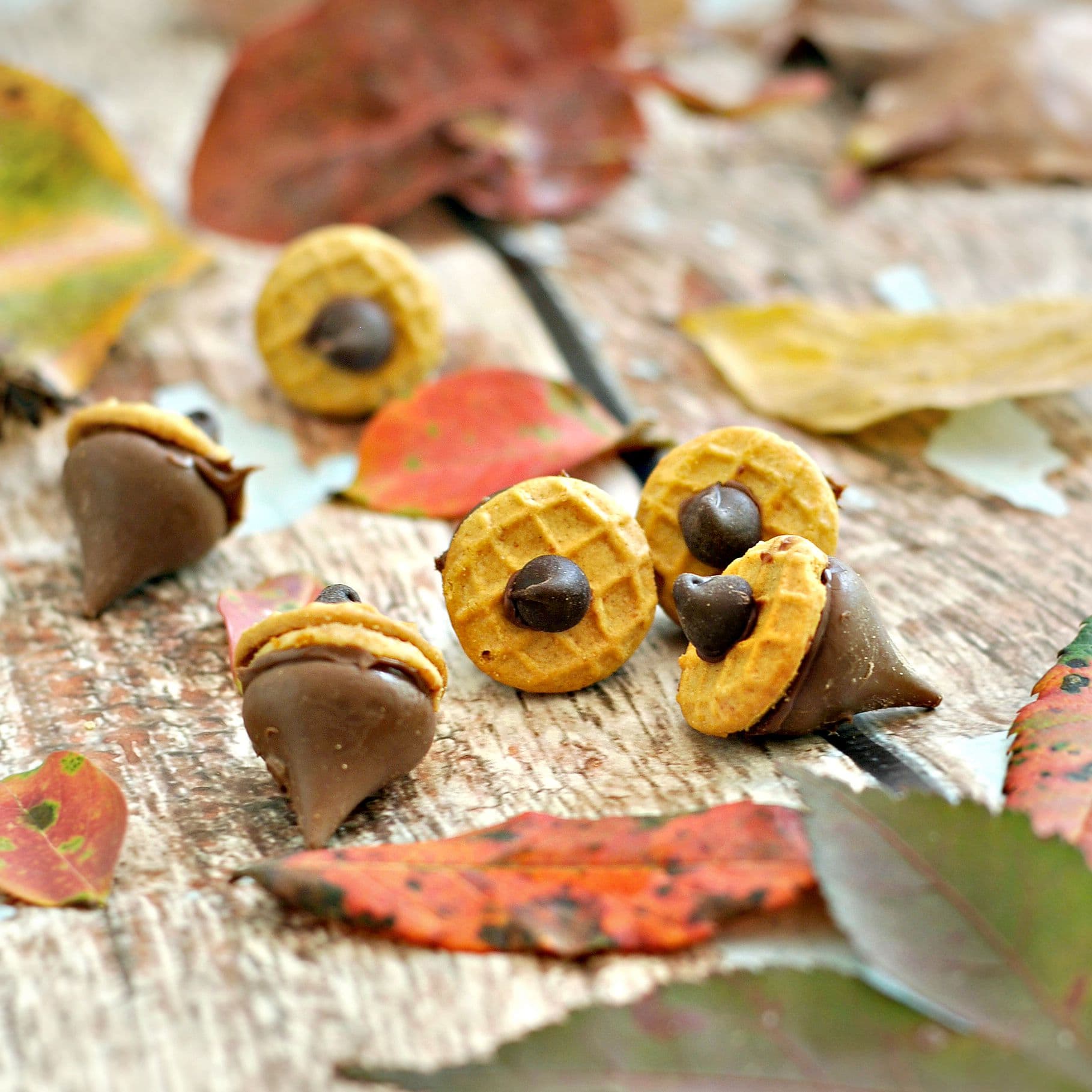 Nutella Acorn Kisses