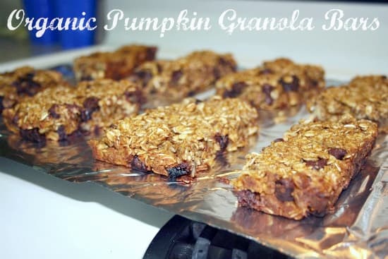 Organic Pumpkin Granola Bars