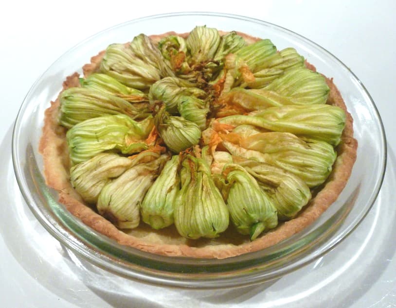 Zucchini flower tart