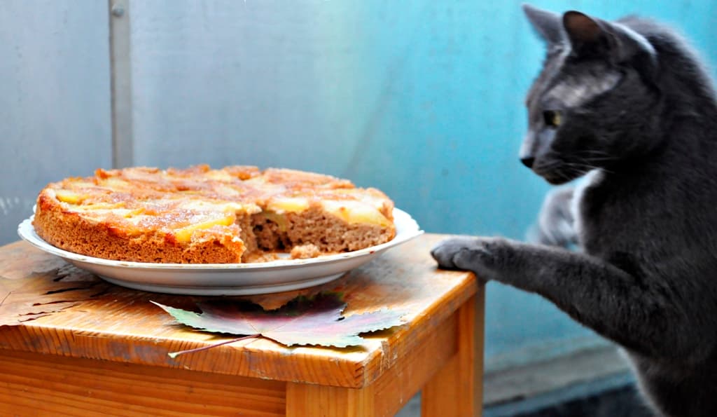 Upside-Down Vegetarian Apple and Cinnamon Pie