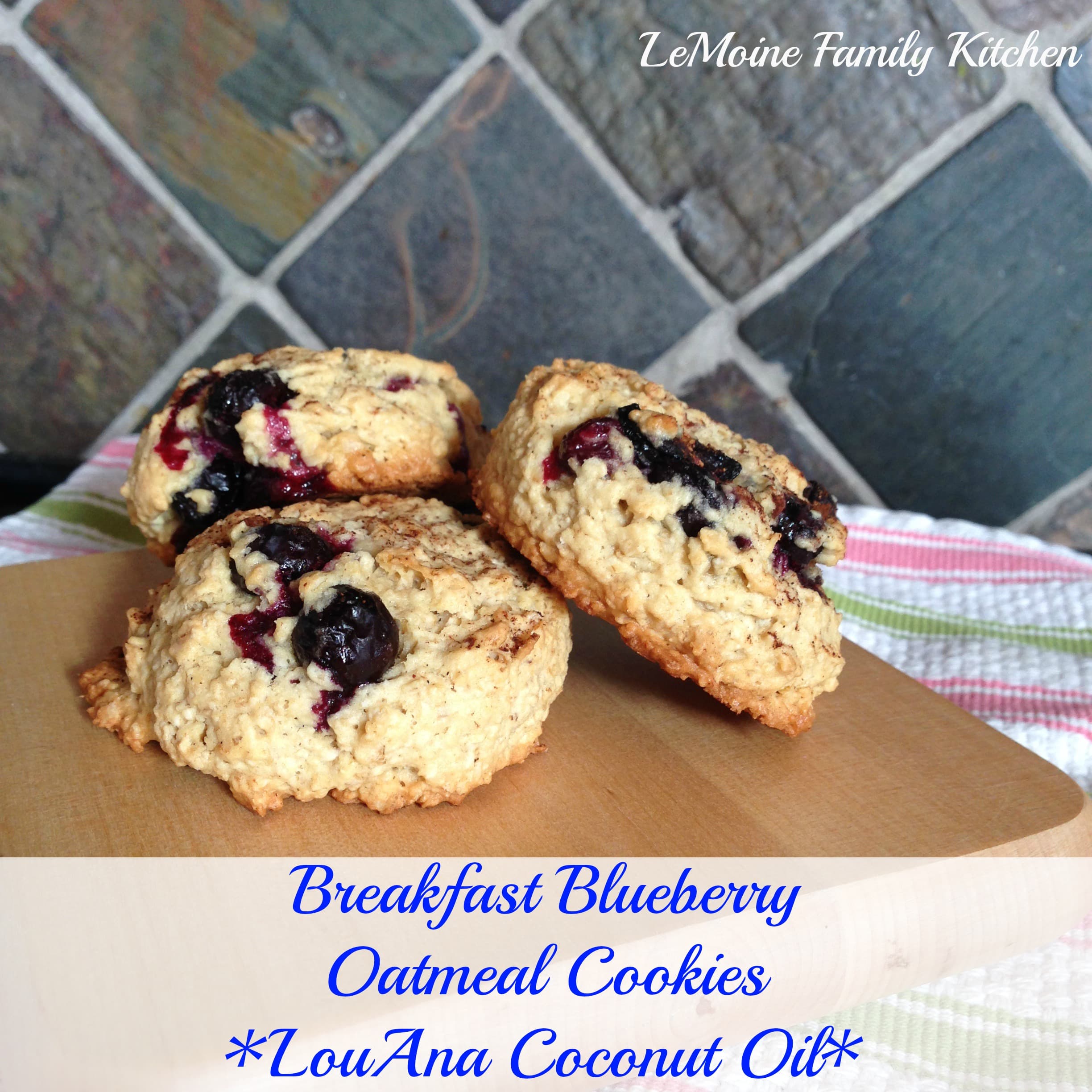 Breakfast Blueberry Oatmeal Cookies 