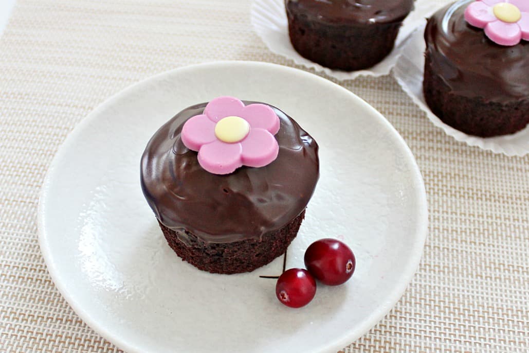 Chocolate Cranberry Cupcakes