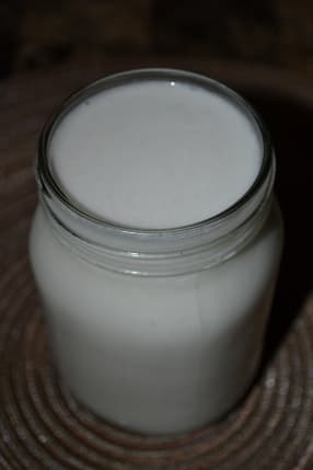 Homemade Coconut Milk Using Fresh Coconut