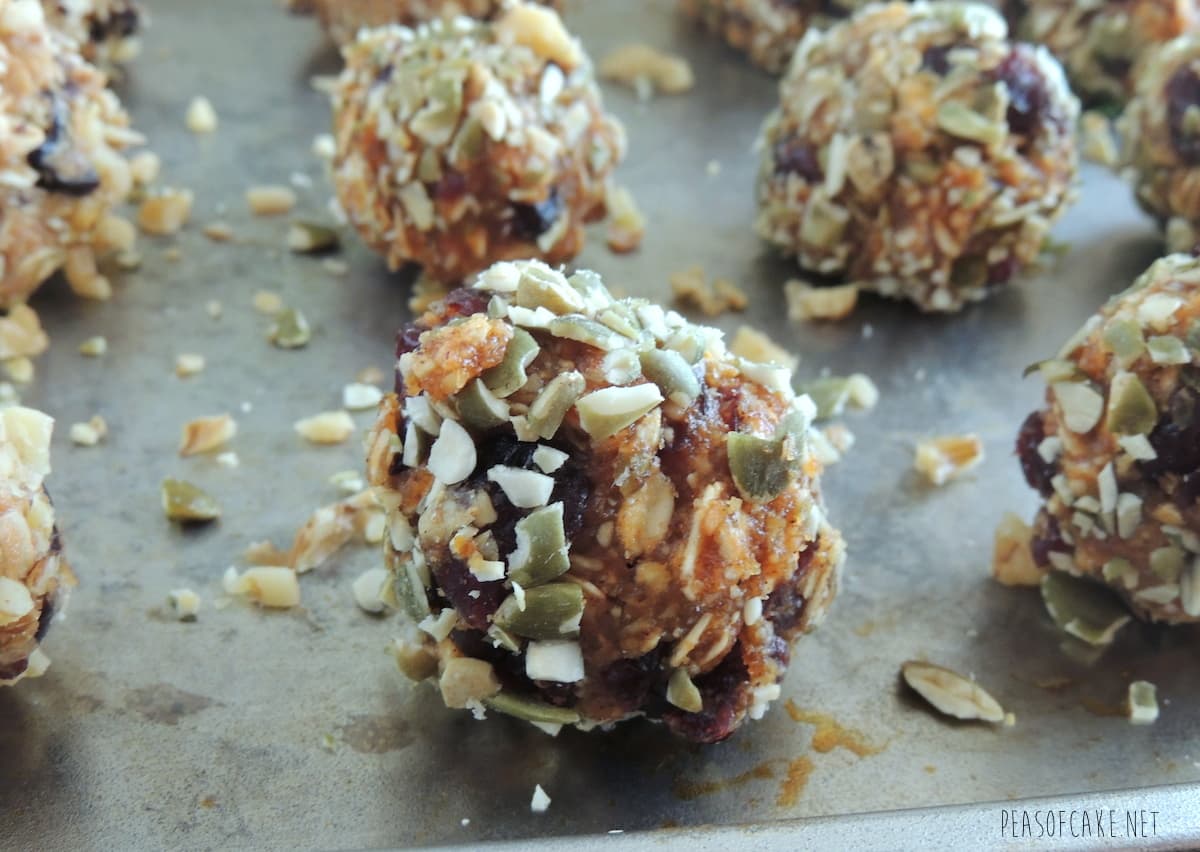 Cranberry Pumpkin Spice Energy Bites