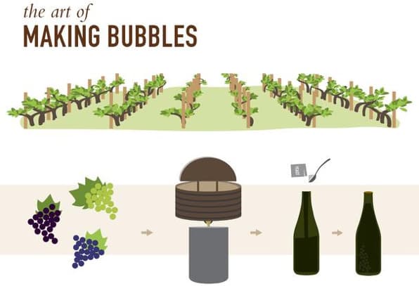 champagne infographic