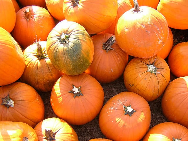 Pumpkins