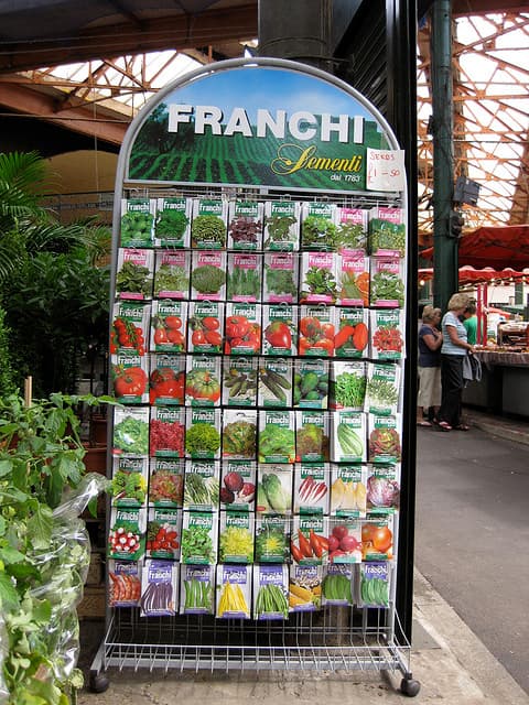 Foodstamps Will Buy Plants And Seeds