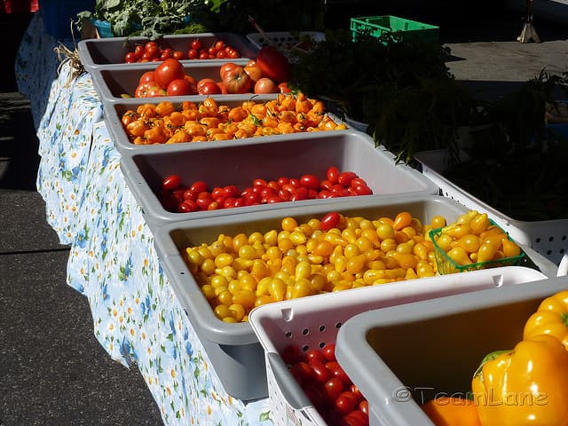 A Week in Food Festivals