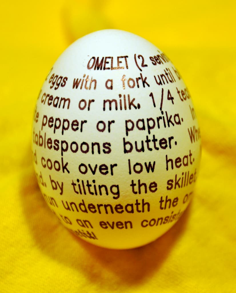 Omelet Recipe Printed On An Egg