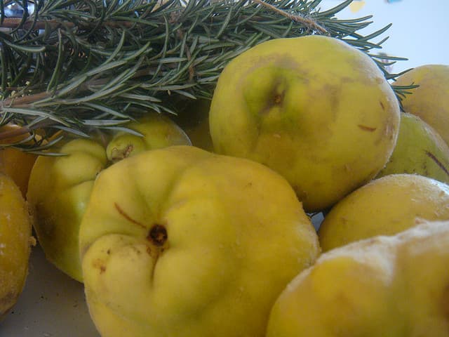 Four Fruit Spreads to Pair with Cheese